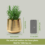 BEHOMA Metal Ribbed Design Planter for Home, Golden
