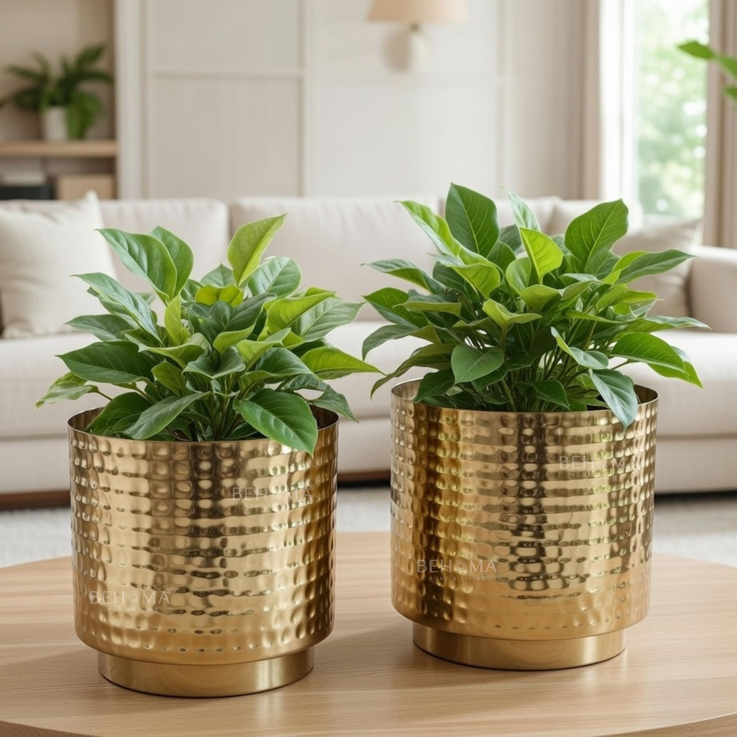 BEHOMA Hammered Gold Metal Mini Tabletop Planters - Set of 2