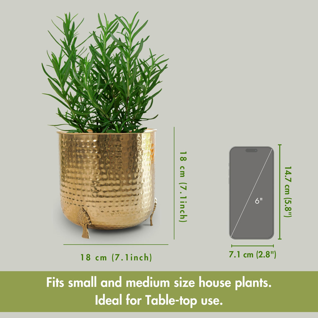 BEHOMA Metal Hammered Planter for Home Decor, Golden
