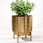 BEHOMA Hammered Gold Metal Indoor Planter 8.5