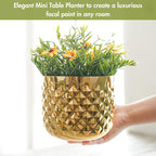 BEHOMA Gold Metal Indoor Planter Pot, Decorative, Golden - Set of 4
