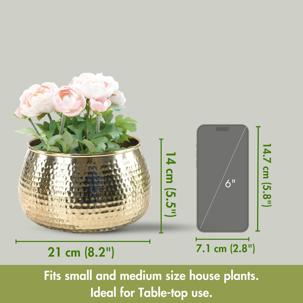 BEHOMA Metal Hammered Golden Bowl Planter