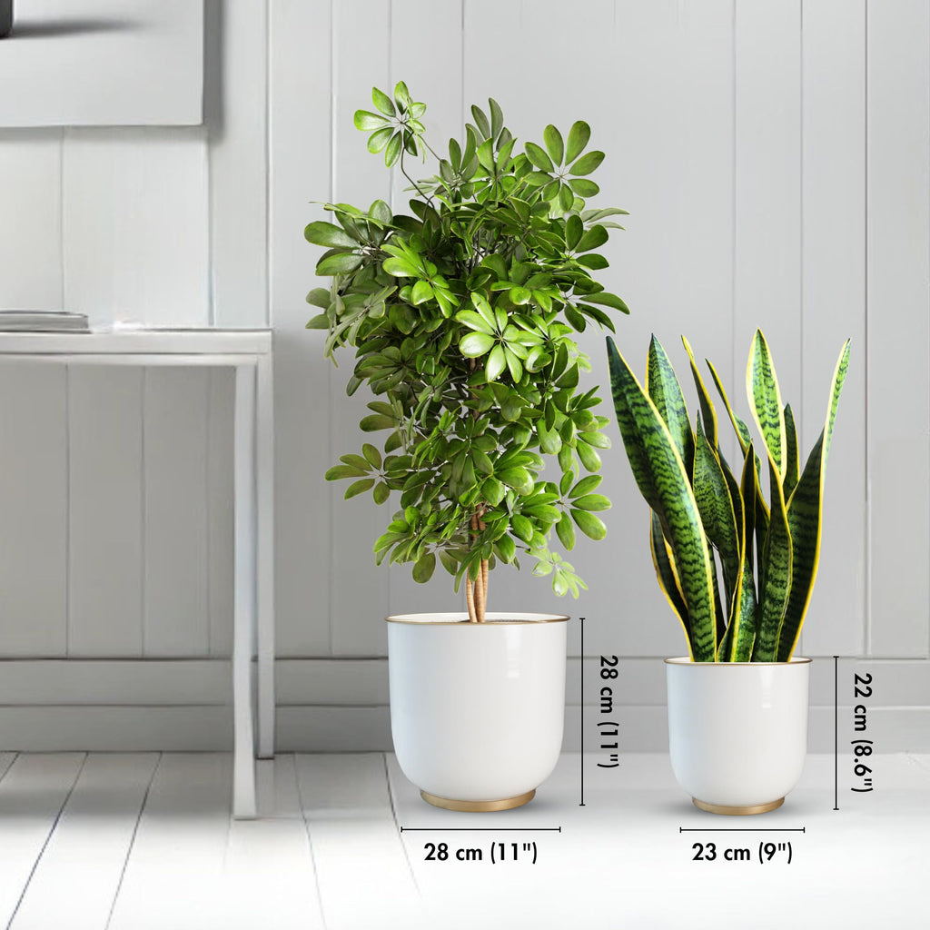 BEHOMA Metal Planters White (Set of 2)