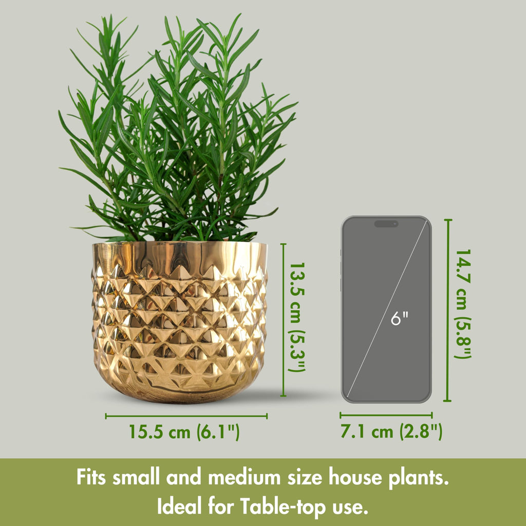 BEHOMA Gold Metal Indoor Planter Pot, Decorative, Golden - Set of 4