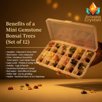 Mini Gemstone Bonsai Trees Set of 12 – Natural Crystal Tree for Vastu & Feng Shui | Good Luck, Wealth & Money Attraction | Healing Crystals Home Decor | Office Desk Decorative Gift Set
