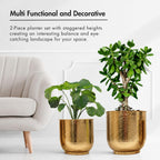 BEHOMA Hammered Gold Metal Floor Planters Set of 2 for Home Decor