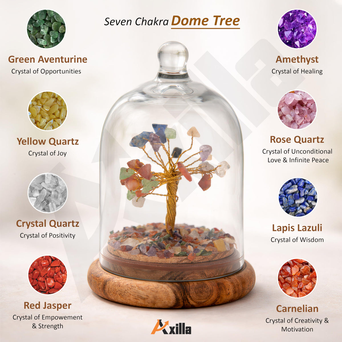 Axilla Original Certified Dome Crystal Chakra Tree for Positive Energy | 7 Chakra Healing Crystal Tree of Life with Protective Dome | Feng Shui Wish Tree for Wealth Meditation Home Decor Gift