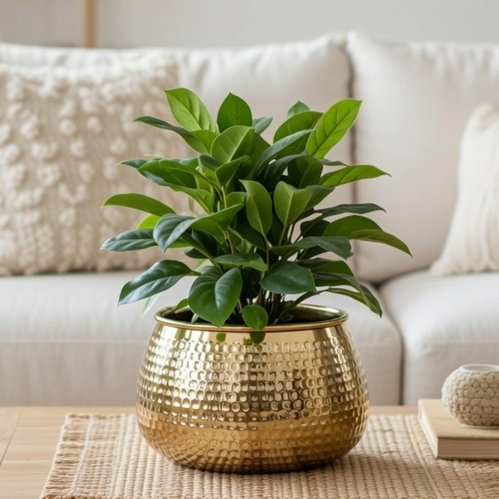 BEHOMA Metal Hammered Golden Bowl Planter