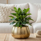 BEHOMA Metal Hammered Golden Bowl Planter