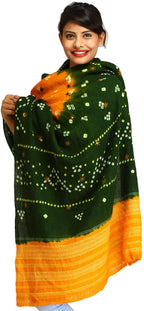 Exotic India Women's Shawl (SWG08-green-and-apricot_Multi_FS)