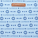 Caprese Peace Tote Bag, Large | Stylish Handbag for Women with Laptop Compartment | Spacious, Versatile Office & Daily Essentials Tote | Detachable Sling Strap, Multiple Organizational Pockets (Blue)