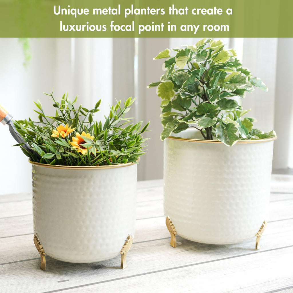 BEHOMA Metal Hammered Leaf Leg Planter Set, Golden - Set of 2