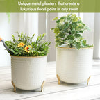 BEHOMA Metal Hammered Leaf Leg Planter Set, Golden - Set of 2