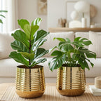 BEHOMA Metal Ribbed Design Planter for Home, Golden - Set of 2