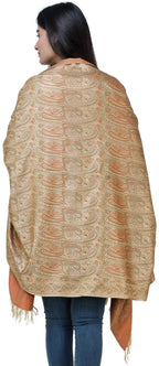 Exotic India Women's Banarasi Pure Silk Wool Shawl (SHX04--khaki)