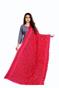 AKSHAR LLC Miss India Women's Chiffon Dupatta with Karachi Embroidery Work_027 (pink)