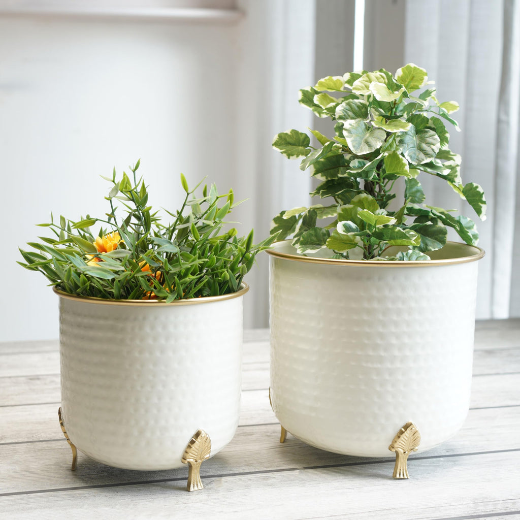 BEHOMA Metal Hammered Leaf Leg Planter Set, Golden - Set of 2