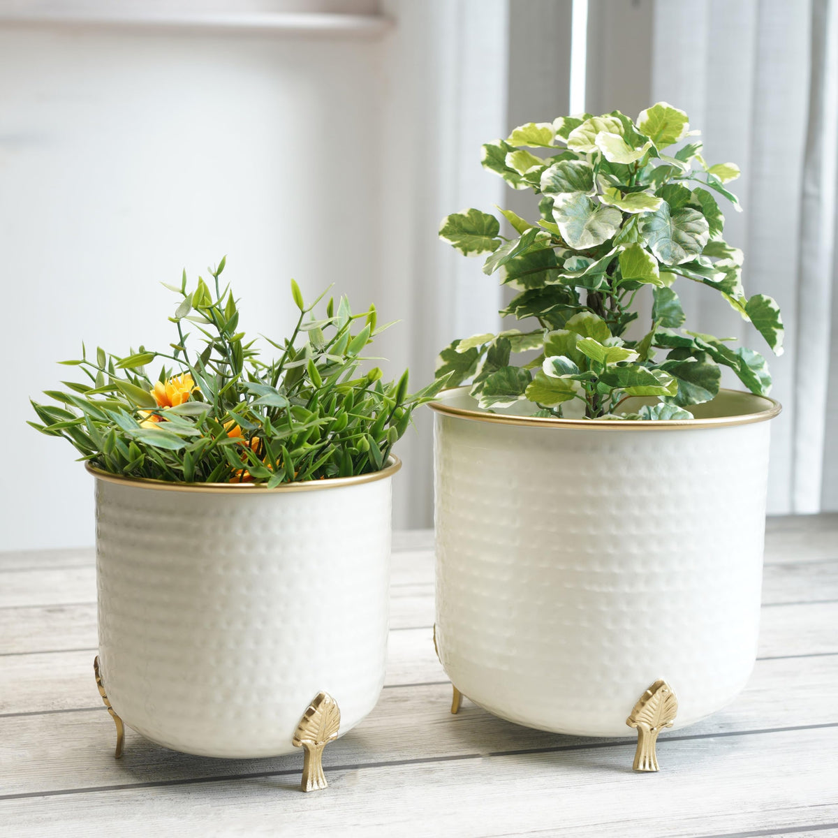 BEHOMA Metal Hammered Leaf Leg Planter Set, Golden - Set of 2