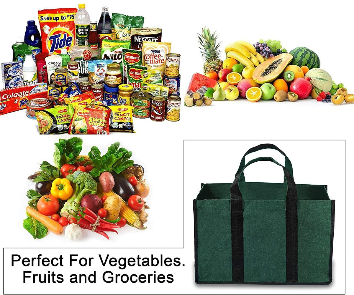 BLACKBOXES Big Eco Cotton Canvas Shopping Bags for Carry Milk Grocery Fruits Vegetable with Reinforced Handles jhola Bag - Kitchen Essential (Green)