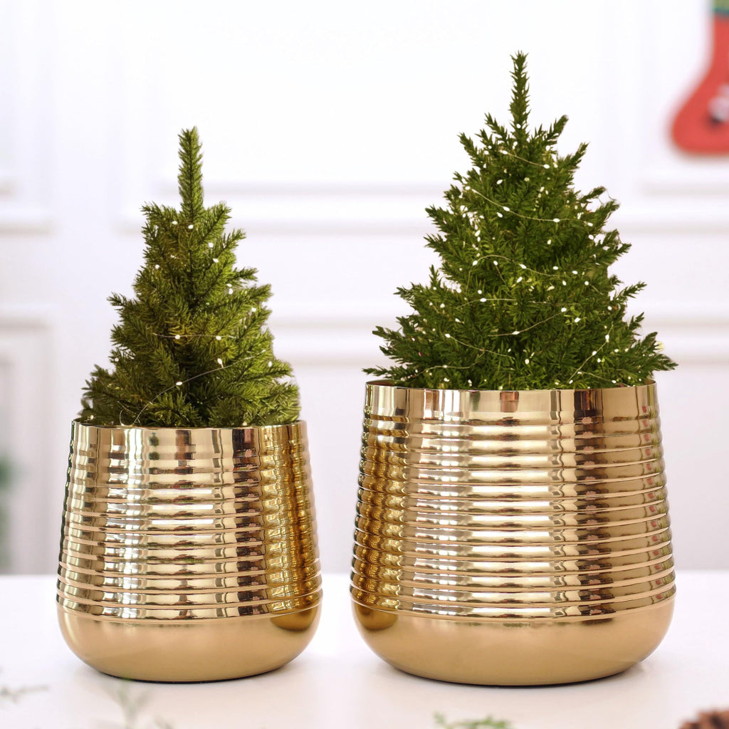 BEHOMA Metal Ribbed Design Planter for Home, Golden - Set of 2