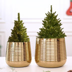 BEHOMA Metal Ribbed Design Planter for Home, Golden - Set of 2