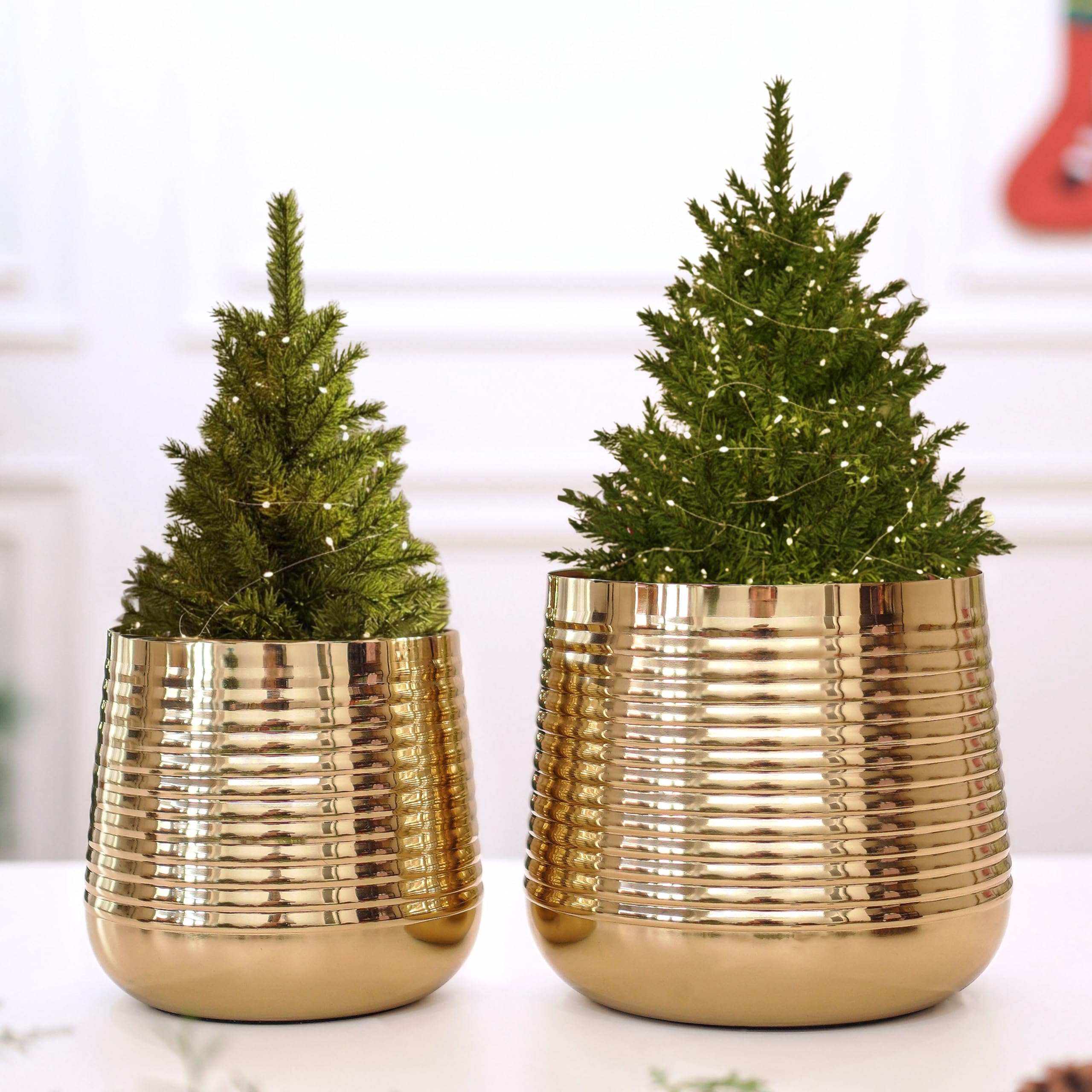 BEHOMA Metal Ribbed Design Planter for Home, Golden - Set of 2