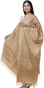 Exotic India Women's Banarasi Pure Silk Wool Shawl (SHX04--khaki)
