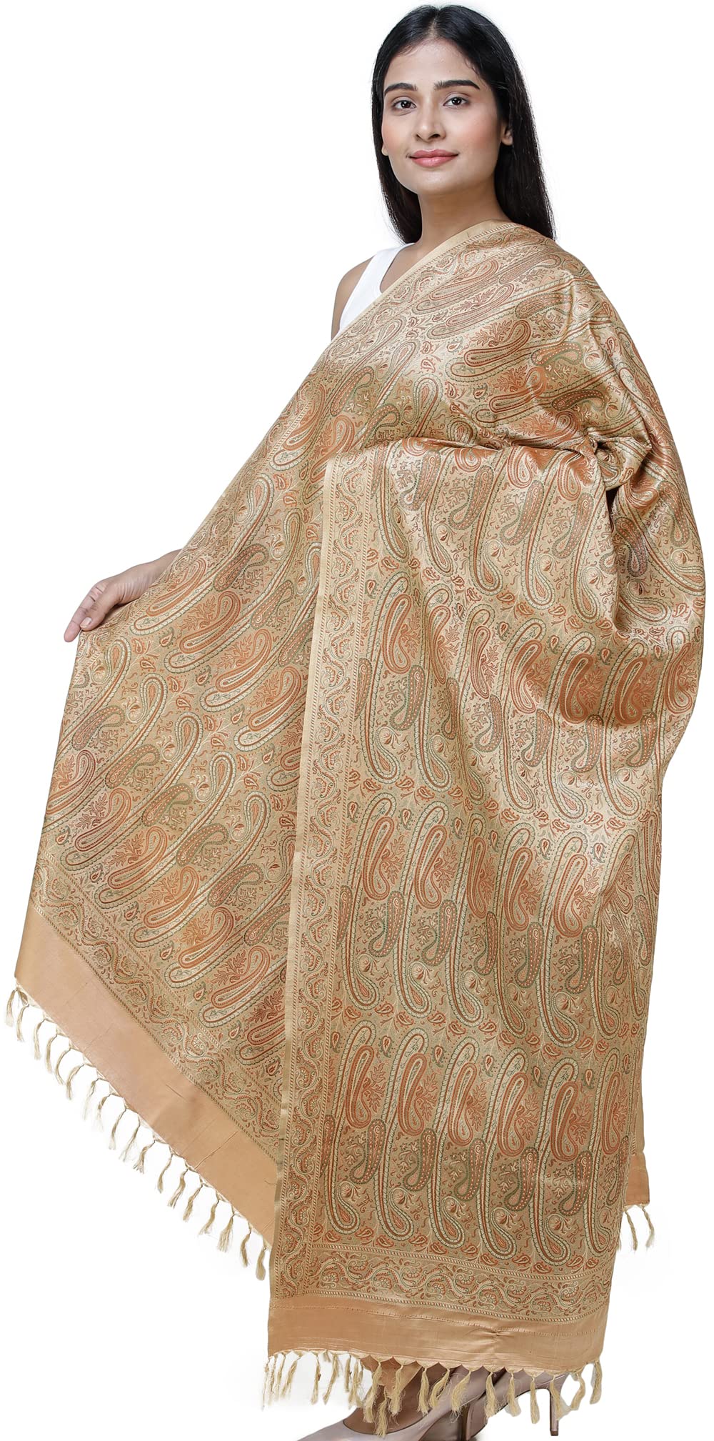 Exotic India Women's Banarasi Pure Silk Wool Shawl (SHX04--khaki)
