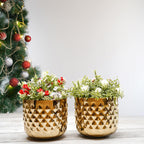 BEHOMA Metal Indoor Planter, Golden - Set of 2