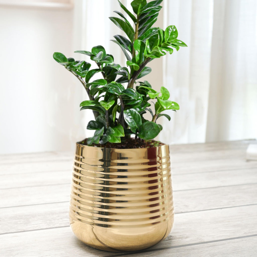 BEHOMA Metal Ribbed Design Planter for Home, Golden