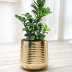 BEHOMA Metal Ribbed Design Planter for Home, Golden