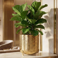 BEHOMA Metal Hammered Planter for Home Decor, Golden