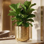 BEHOMA Metal Hammered Planter for Home Decor, Golden