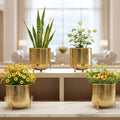 BEHOMA Hammered Gold Metal Planter Set of, Golden - Set of 4