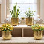 BEHOMA Hammered Gold Metal Planter Set of, Golden - Set of 4
