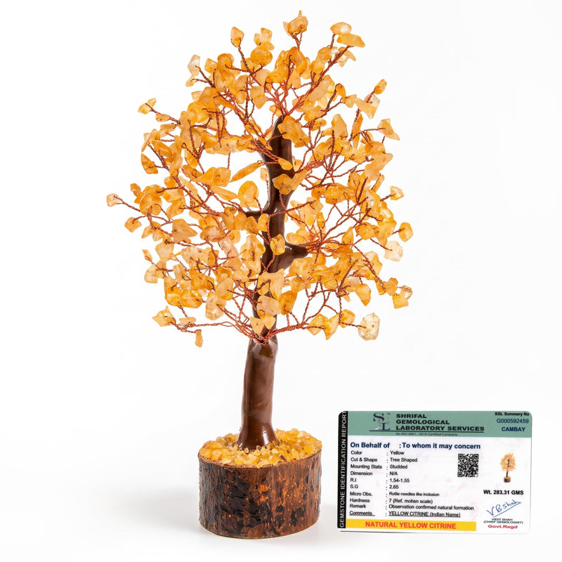 Axilla Natural Citrine Crystal Tree with Wooden Base | Merchant Stone of Abundance & Financial Growth | Feng Shui Good Luck Tree Showpiece for Office Desk, Shop Counter & Living Room