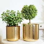 BEHOMA Hammered Metal Indoor Planter for Table, Gold - Pack of 2