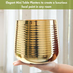BEHOMA Metal Ribbed Design Planter for Home, Golden