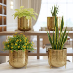 BEHOMA Hammered Gold Metal Planter Set of, Golden - Set of 4