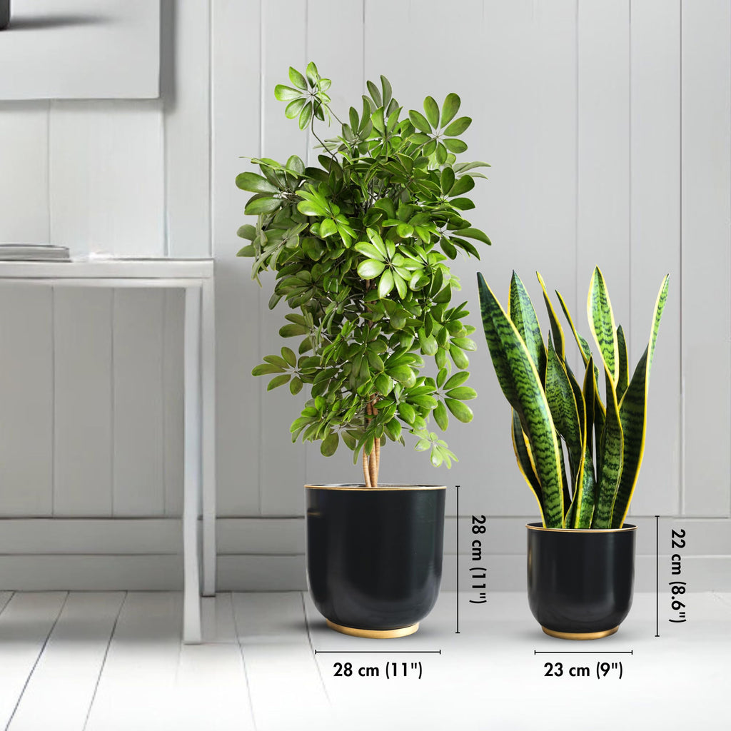 BEHOMA Metal Planters Black (Set of 2)