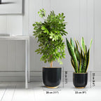 BEHOMA Metal Planters Black (Set of 2)
