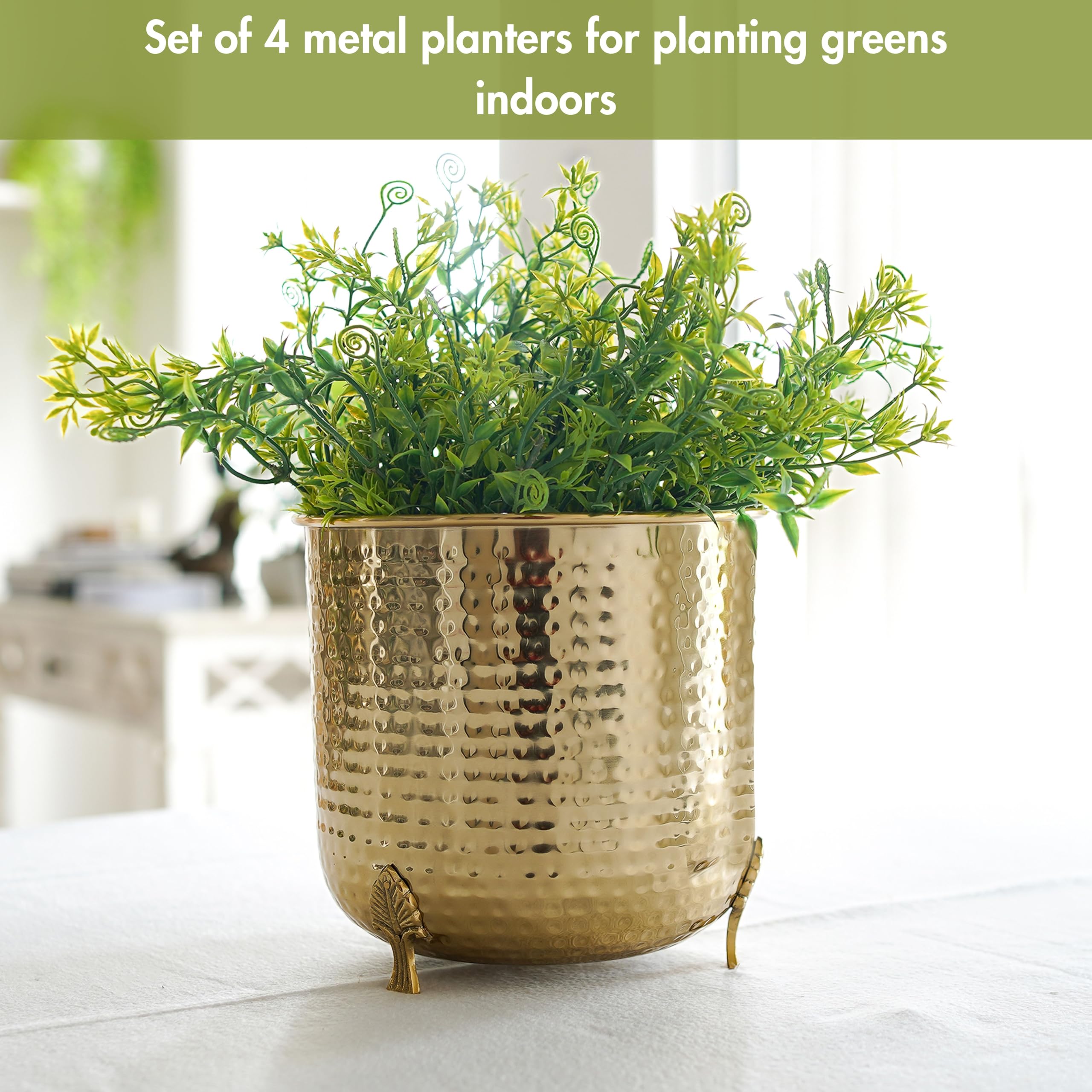 BEHOMA Hammered Gold Metal Planter Set of, Golden - Set of 4