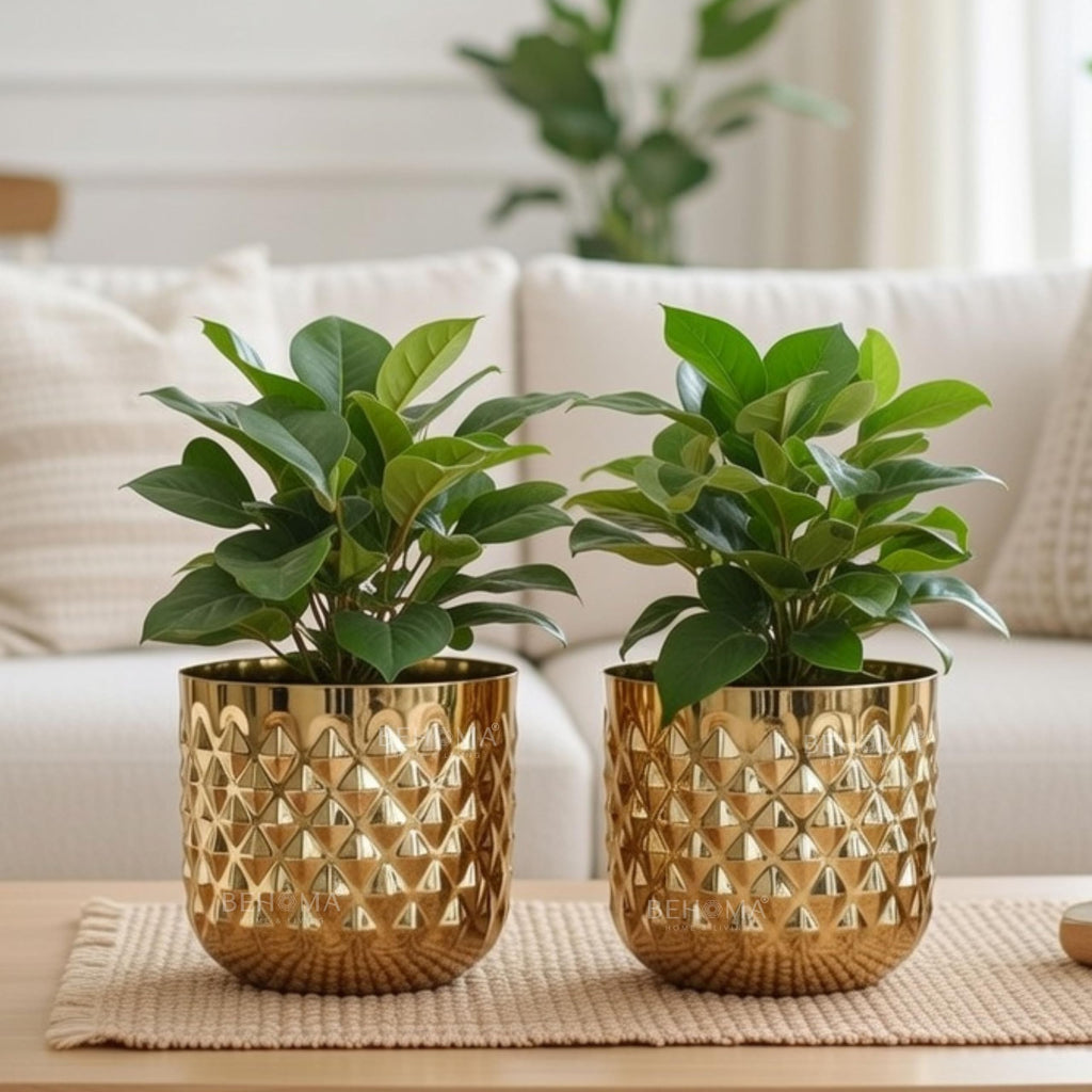 BEHOMA Metal Indoor Planter, Golden - Set of 2