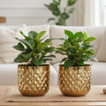BEHOMA Metal Indoor Planter, Golden - Set of 2
