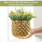 BEHOMA Metal Indoor Planter, Golden - Set of 2