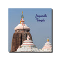 BIRD'S MIND Gogunda Udaipur Famous Places Wooden Fridge Magnet Decorative Souvenir for Home Office Refrigerator Fridge Magnets Travel Gift (Jagannath Temple)