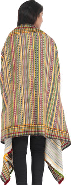 Exotic India Women's Kutch Wool Shawl (SHN85--amber)