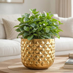 BEHOMA Metal Indoor Pineapple Texture Golden Planter