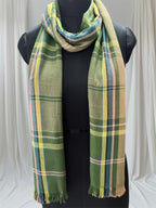 Plaid Winter Scarf, Green Multi-Colour Pattern, Fringe Trim, Soft Woven Fabric Fashion Scarf for women and men