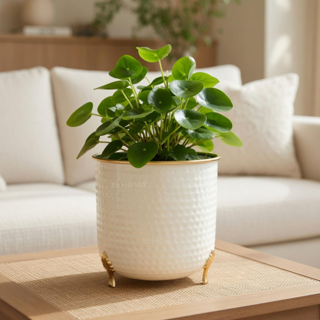 BEHOMA Metal Hammered Leaf Leg Indoor Planter, Gold